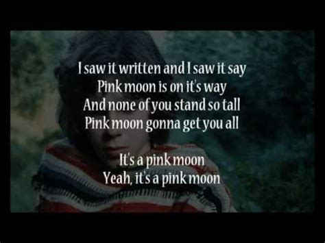 pink moon song meaning